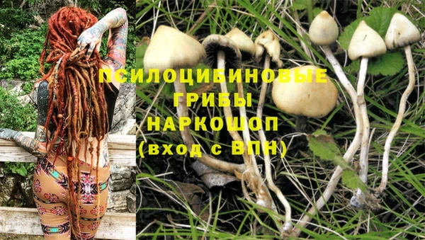 таблы Волоколамск