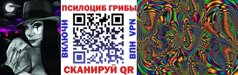 Псилоцибиновые грибы мухоморы купить закладку Людиново